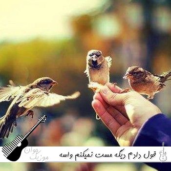 آهنگ قول دادم دیگه مست نمیکنم واﺳﻪ ﺗﻜﺴﺘﺖ ﺻﺒﺮ ﻧﻤﻴﻜﻨﻢ ریمیکس اینستا آهنگ قول دادم دیگه مست نمیکنم واﺳﻪ ﺗﻜﺴﺘﺖ ﺻﺒﺮ ﻧﻤﻴﻜﻨﻢ ریمیکس اینستا