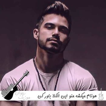 دانلود آهنگ میکشه منو این الکلا باور کن هونام ریمیکس ترند اینستا