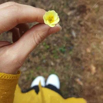 ریمیکس پام رو گازه باز بهم میسازه پات ریمیکس ترکیبی اینستا رپ